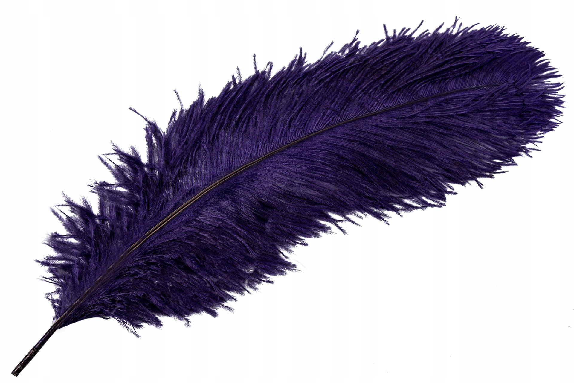 Příběh Strusie do vázy Purpurová Barva 60cm