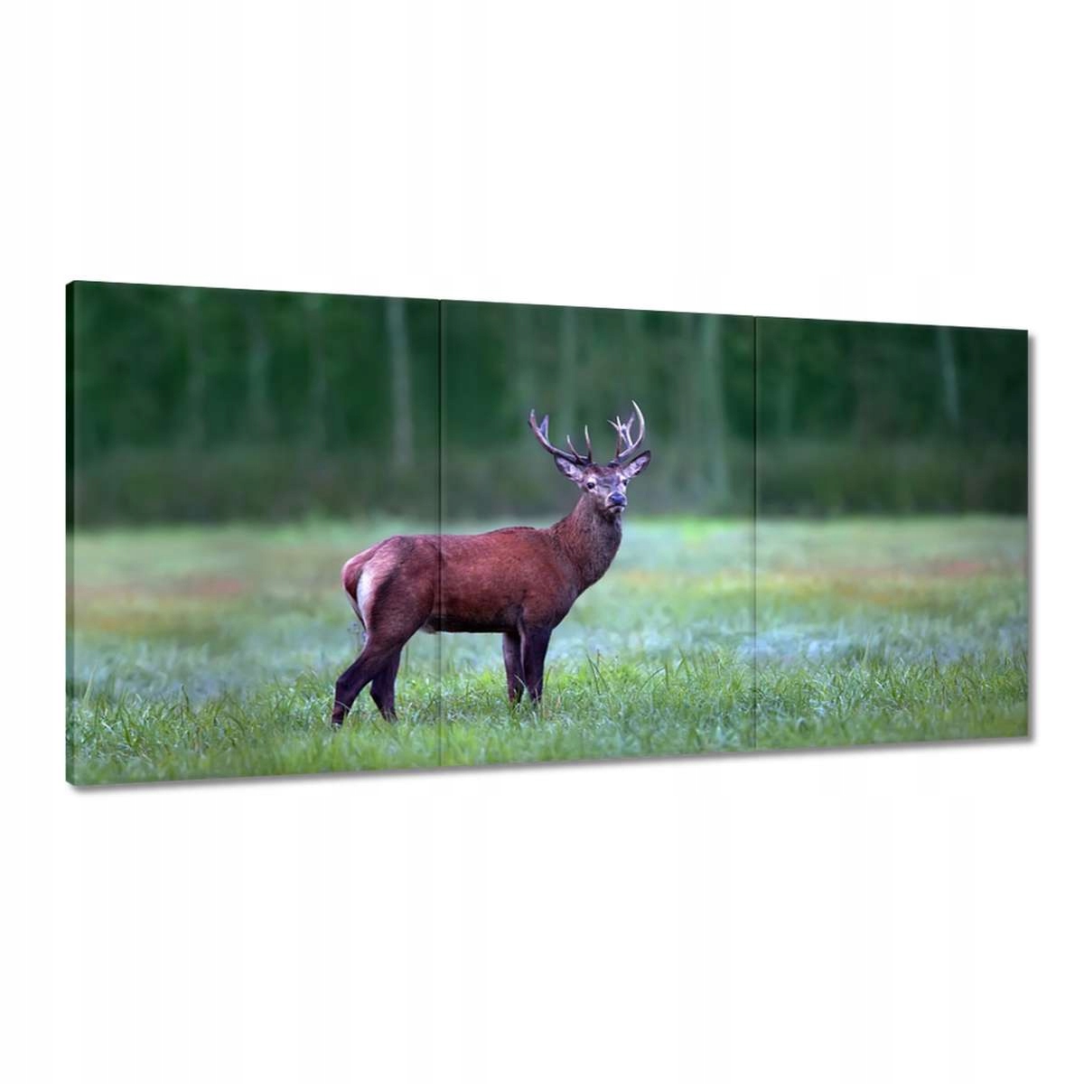 Obrazy 180x90 Jeleň Les Krajina