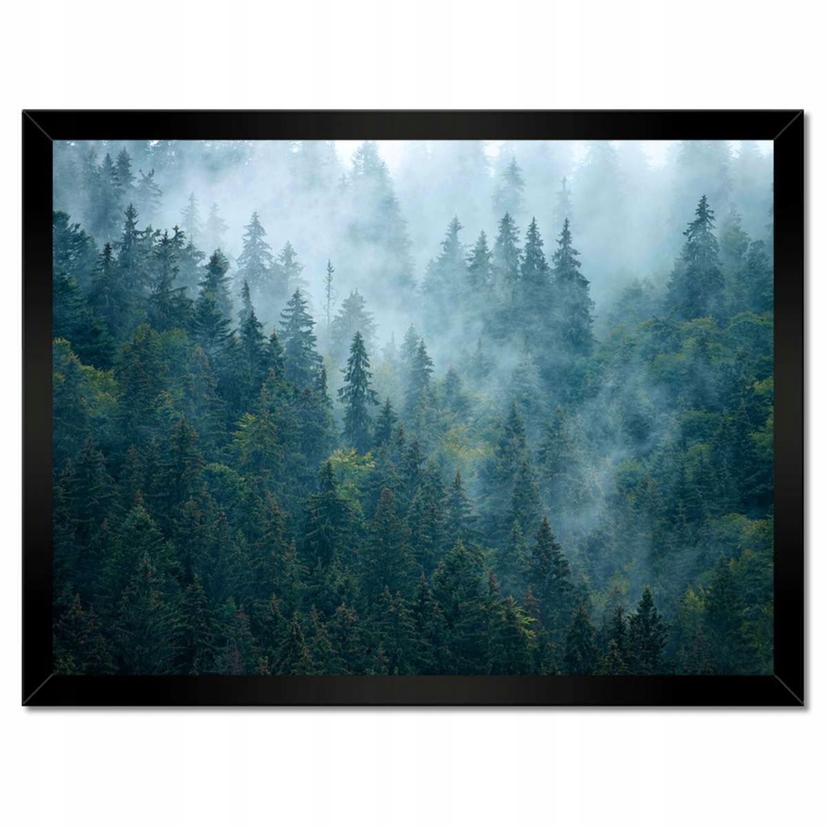 Plakáty v rámu 40x30 Les v mlze Cestování