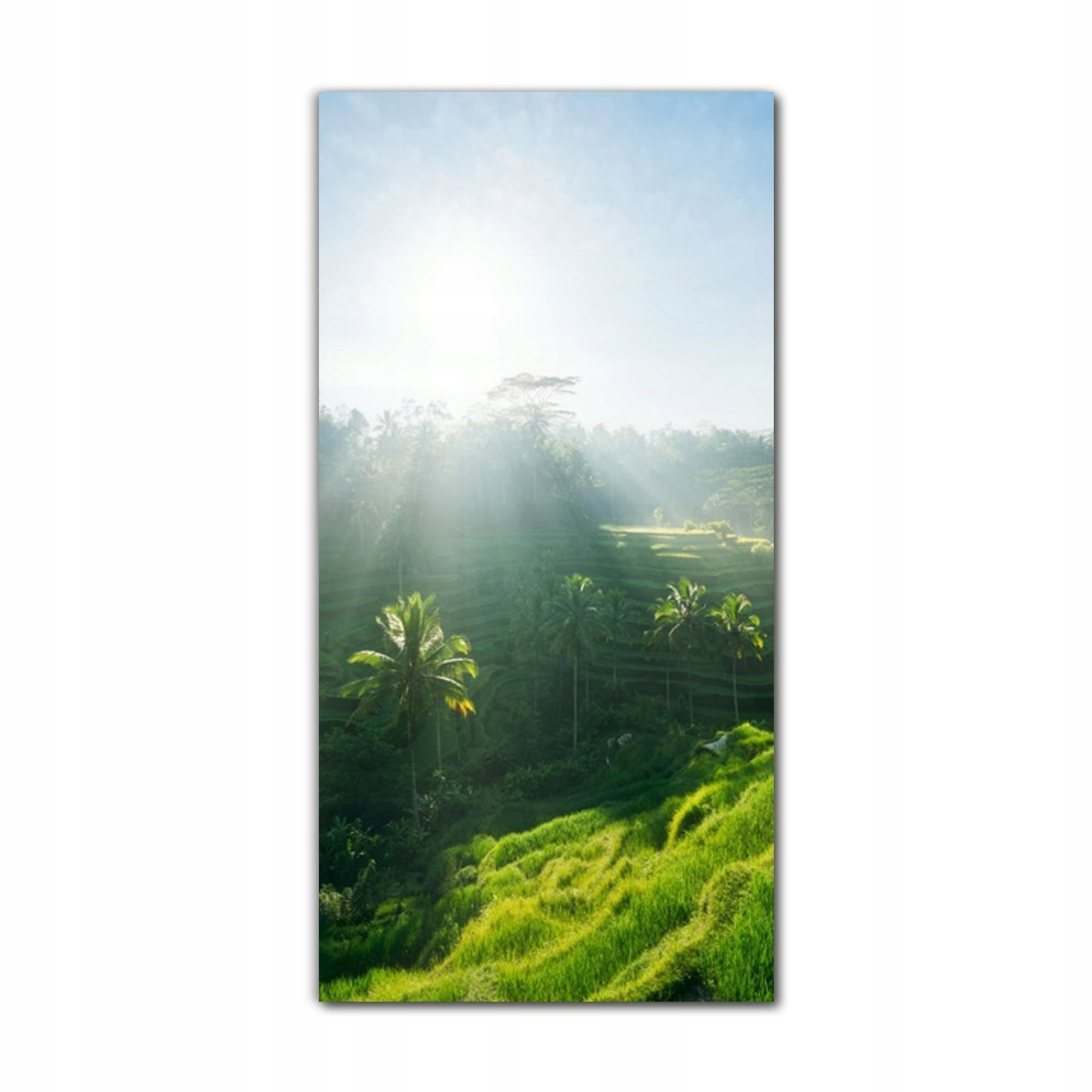 

Obrazy szklane do kuchni 70x140 cm Bali przyroda