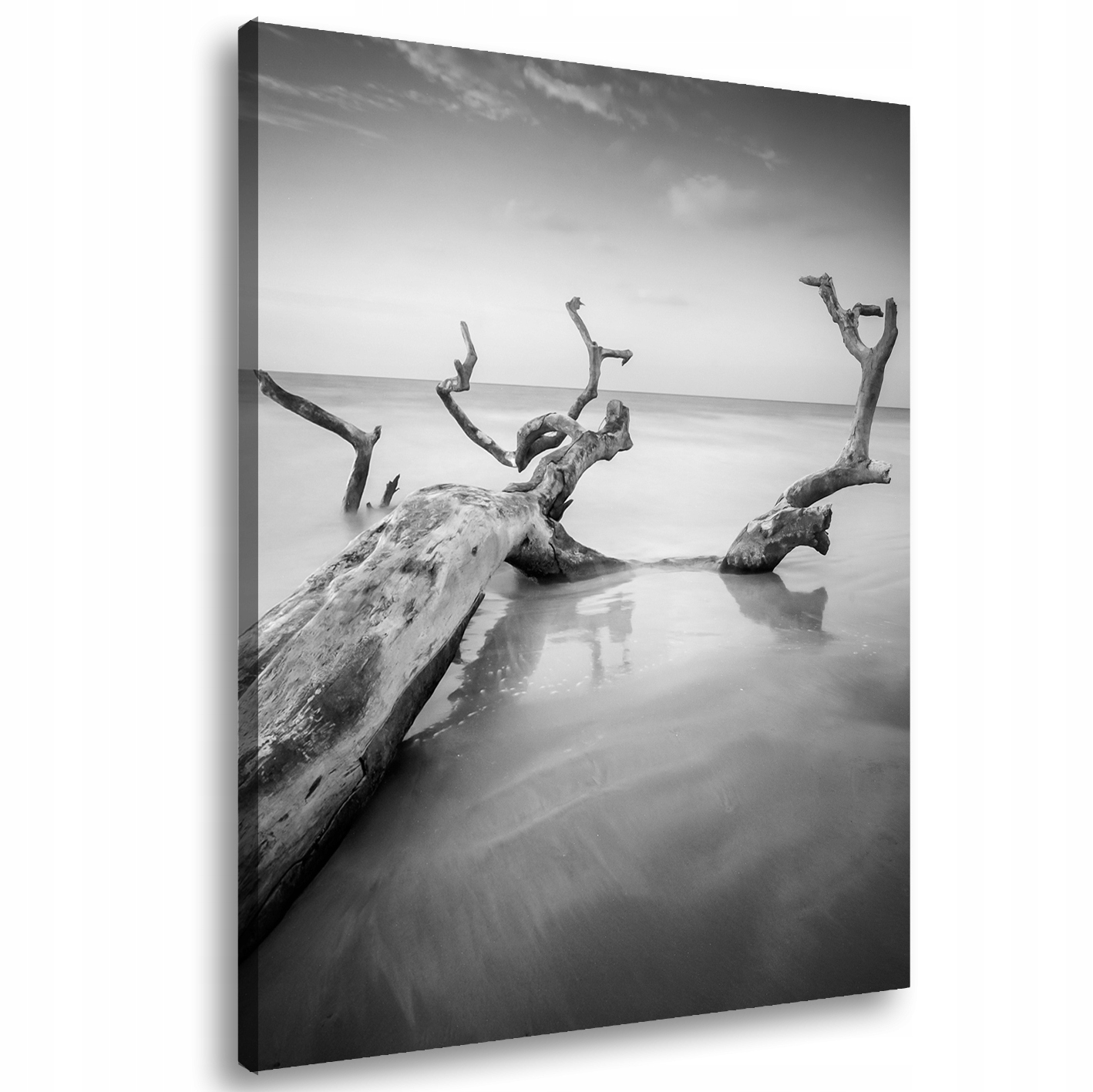 

Obraz na płótnie Czarno Biały Morze 93A-80x120cm