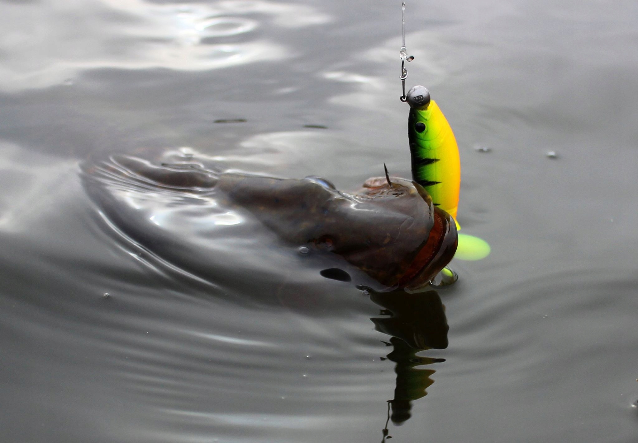 Savage Gear CANNIBAL * SUPER KILLER 15cm - Clown Długość 15 cm