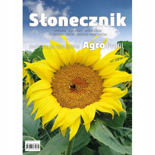 

Słonecznik uprawa, odmiany, ochrona, zbiór