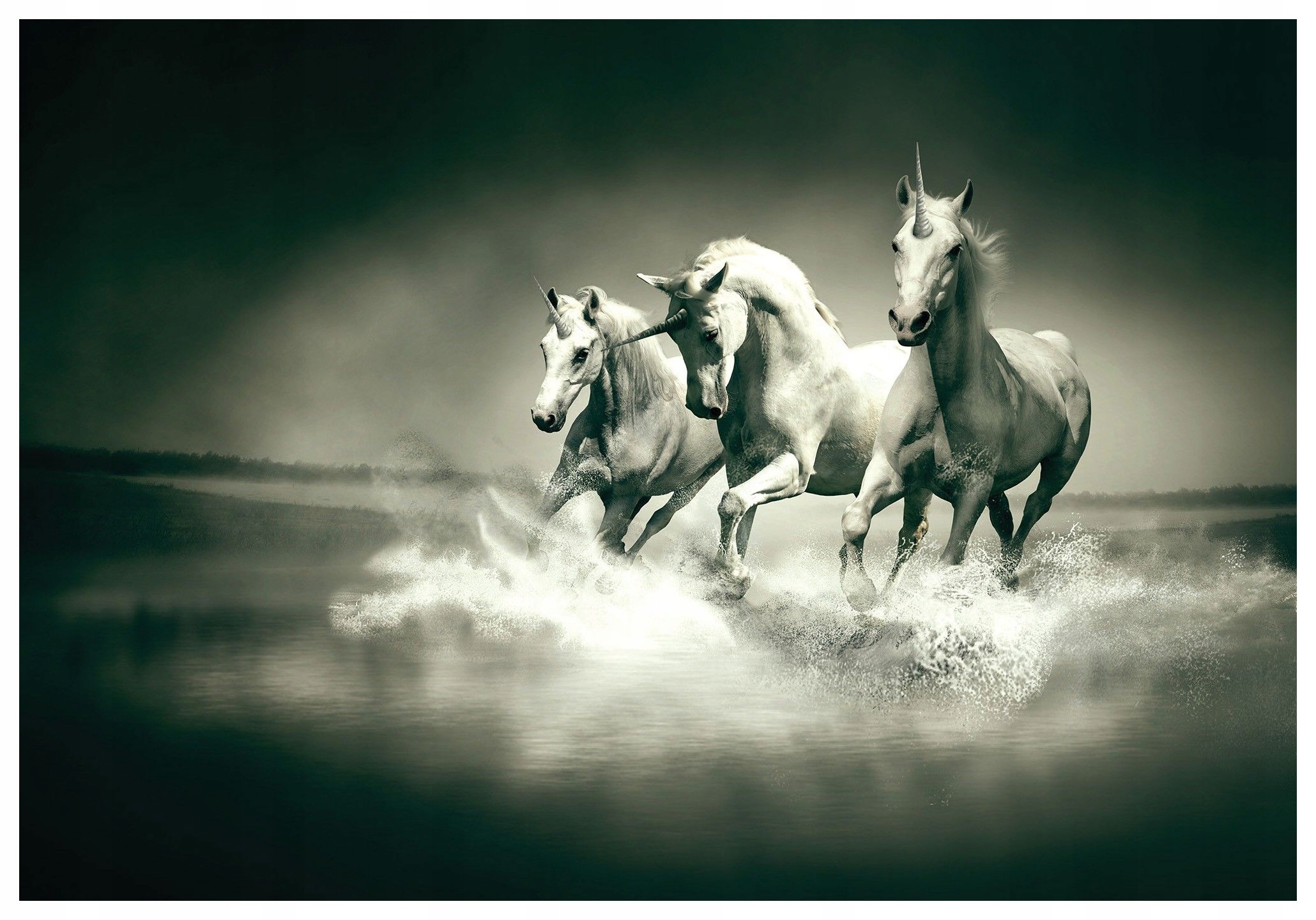 Fototapeta Biele jednorožce Monochromatická elegancia 312x219 lepidlo