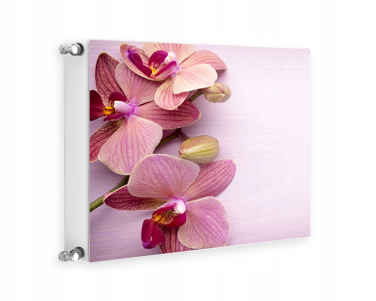 Magnetická Krytka Na Radiátor 60x60 Orchidej Fototapeta