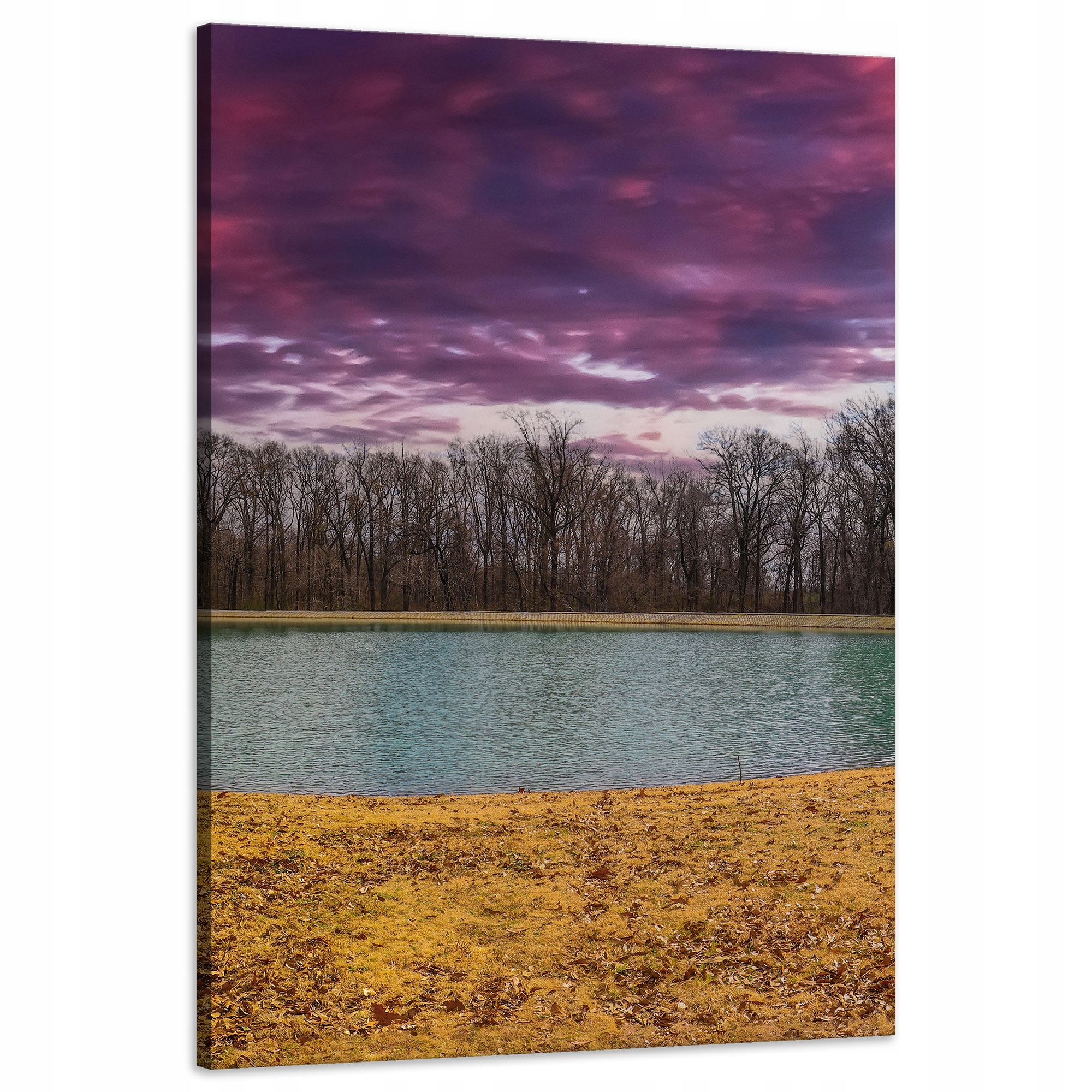 Obraz na plátně Fialové nebe Rybník Stromy Podzim 60x90 cm