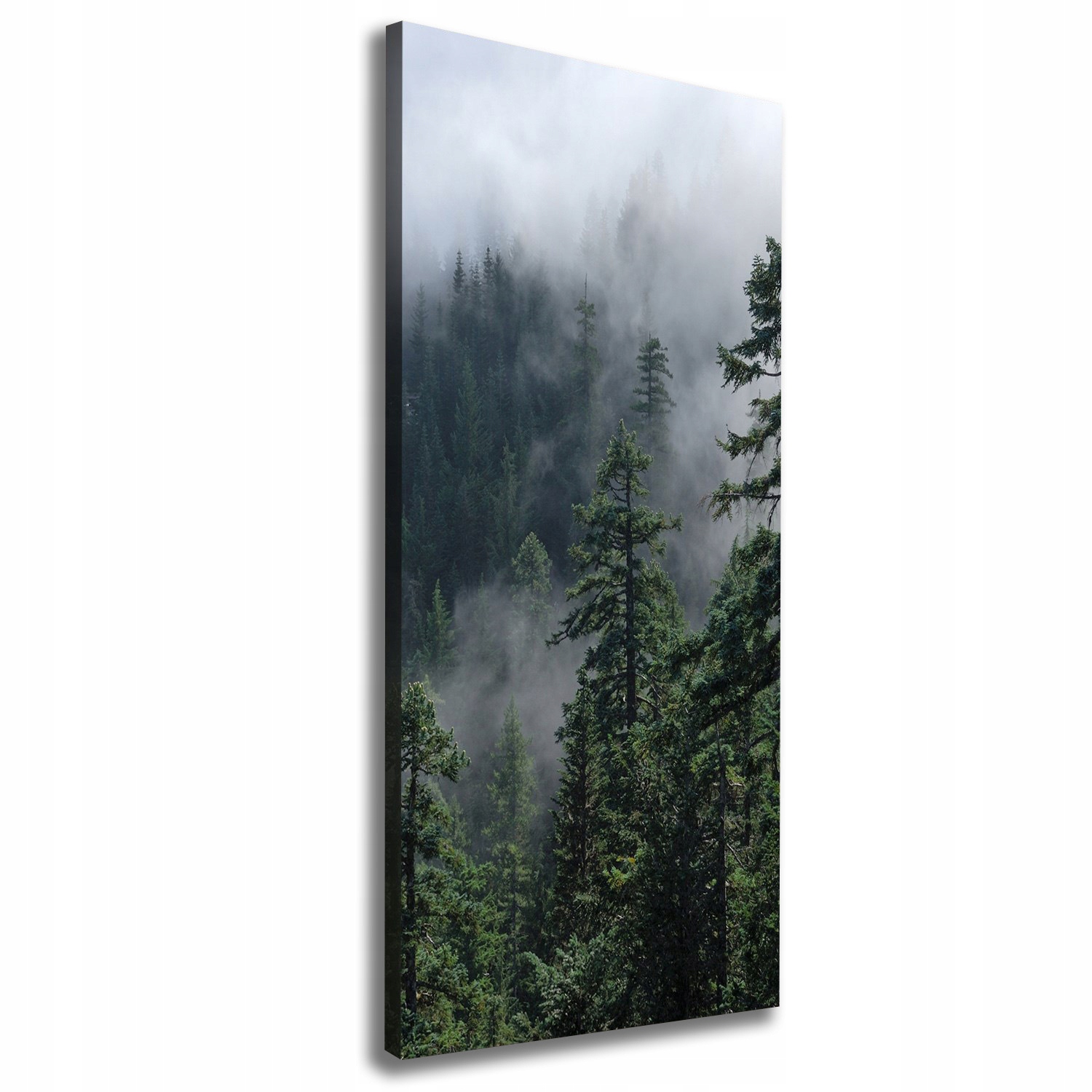 

Foto obraz na płótnie Mgła nad lasem 50x125 cm