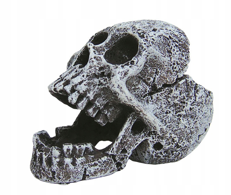 

Czaszka Dekoracja Ozdoba Do Akwarium R107