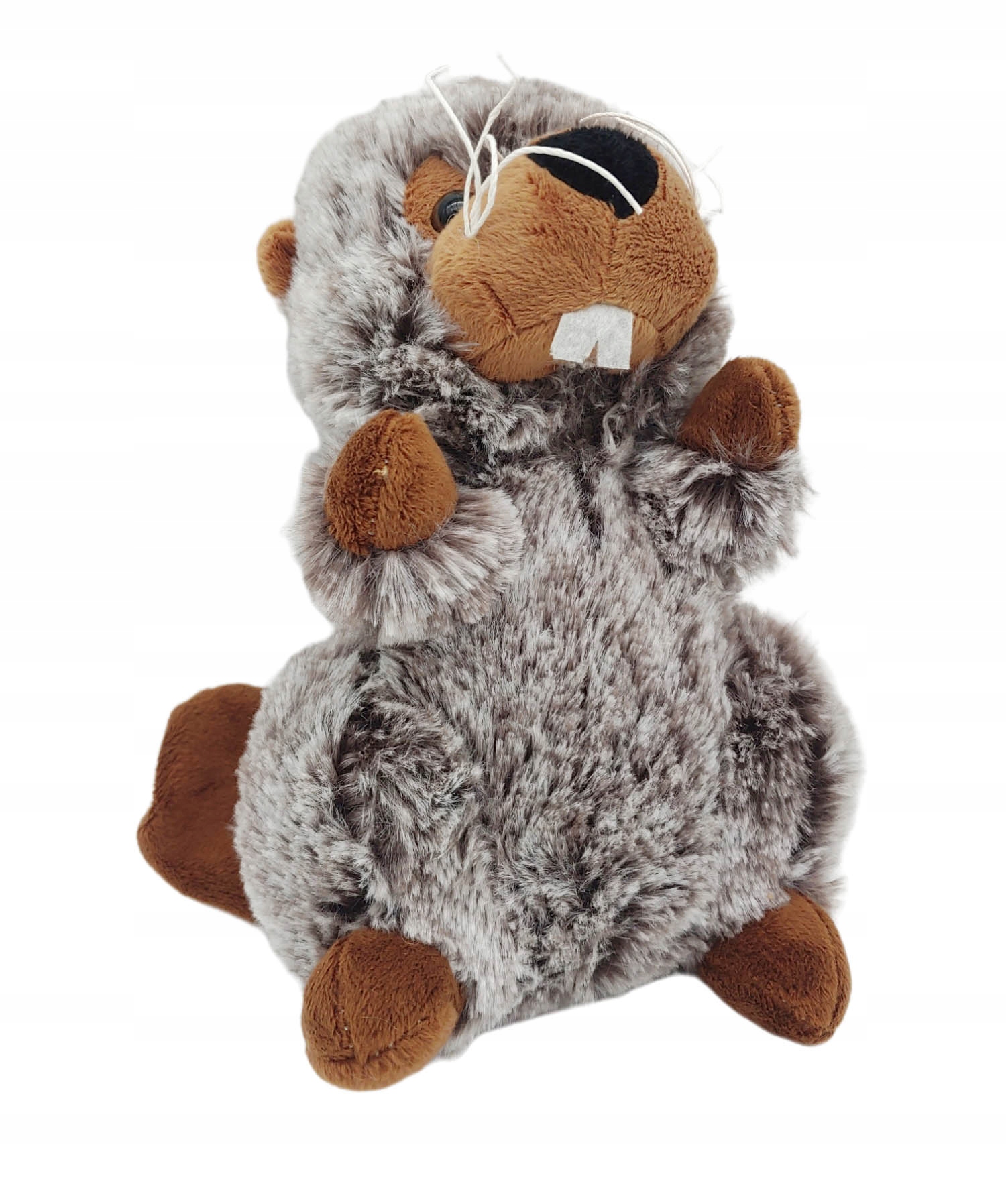 

Maskotka Miękka Duża 23cm Świstak