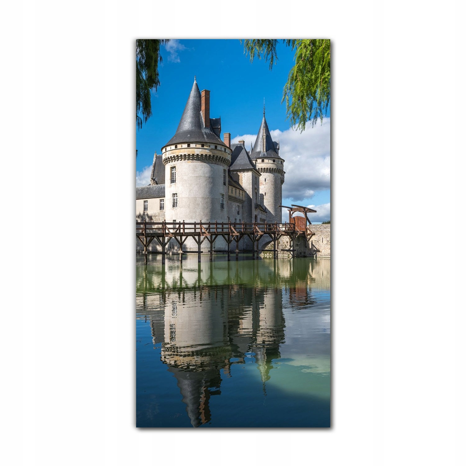 

Foto-obraz na szkle na ścianę 60x120 Zamek Francja