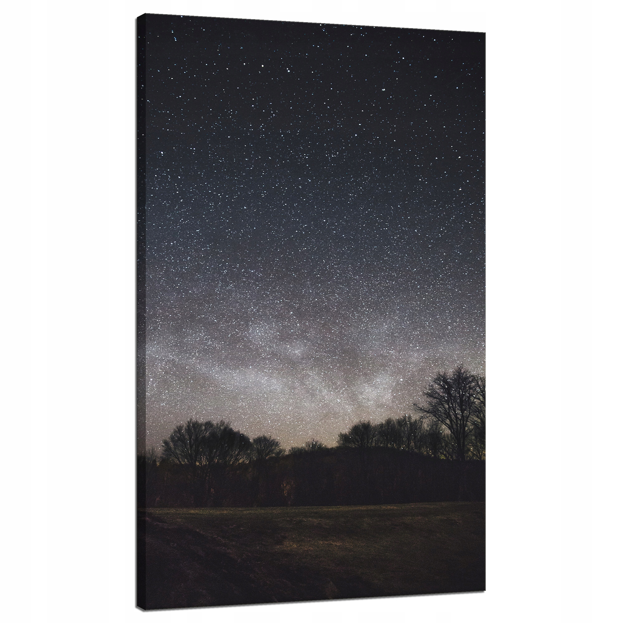 Obraz na plátně Vesmír Hvězdná obloha 60x120