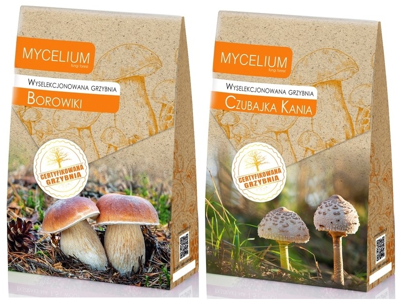 Levně Podhoubí Borowiki Czubajka Kania, sada 2 kusů