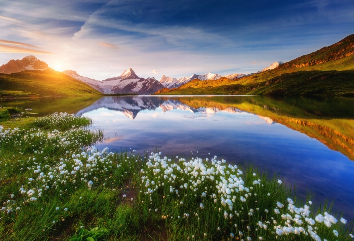 

Fototapeta Flizelinowa Góra Schreckhorn - 104x70