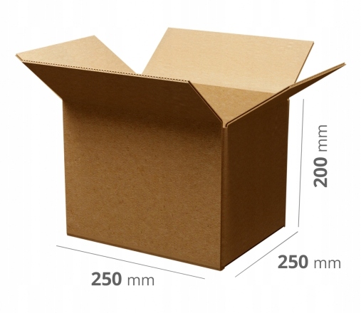 100x Karton Pudło klapowe 250x250x200 mm szare 340 g/m2 Gabaryt C