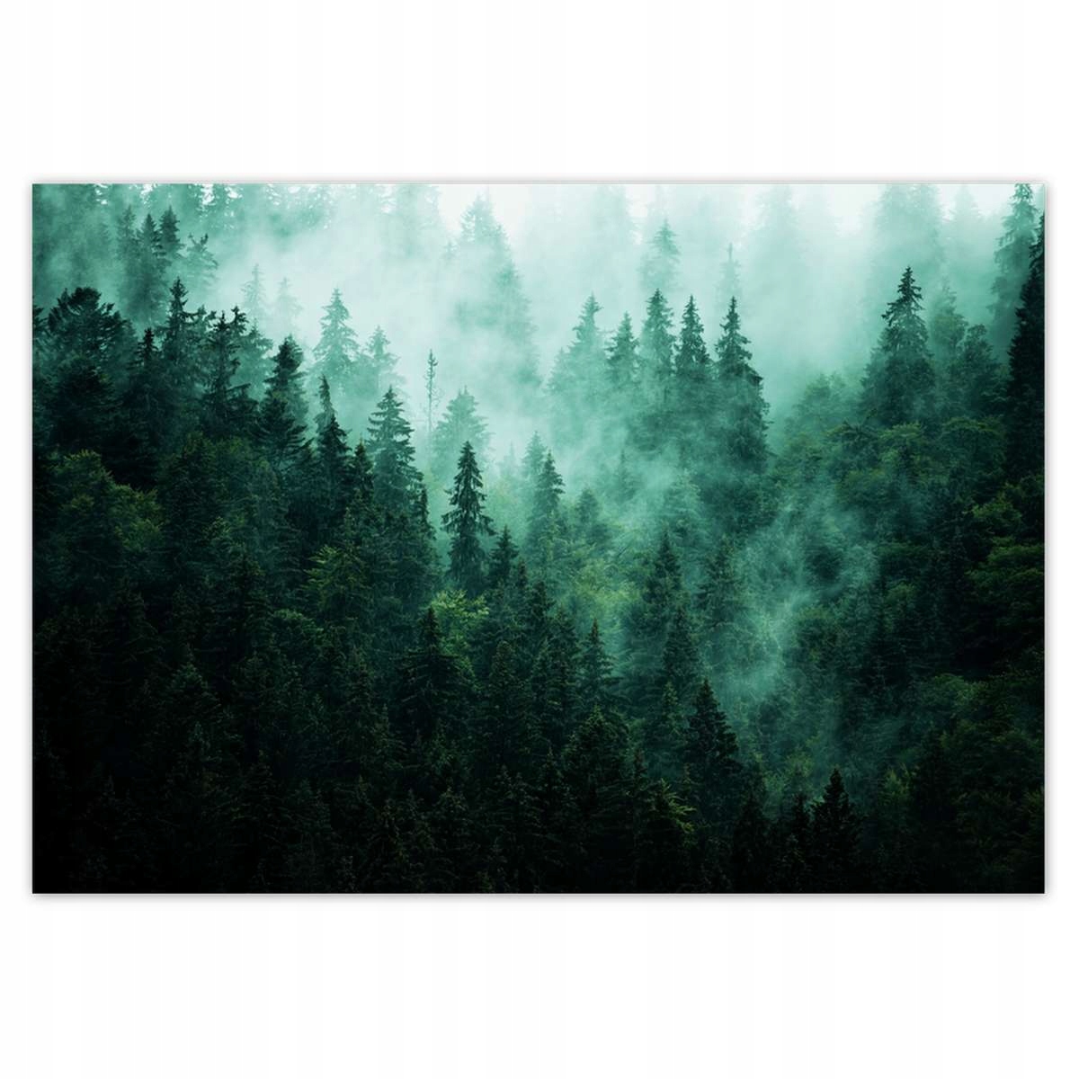 Fototapety 312x219 Les Hmla Krajina Cestovanie