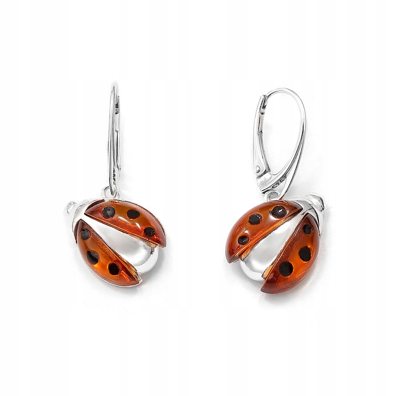 Náušnice S Stříbro Berouškou, Stříbro 925