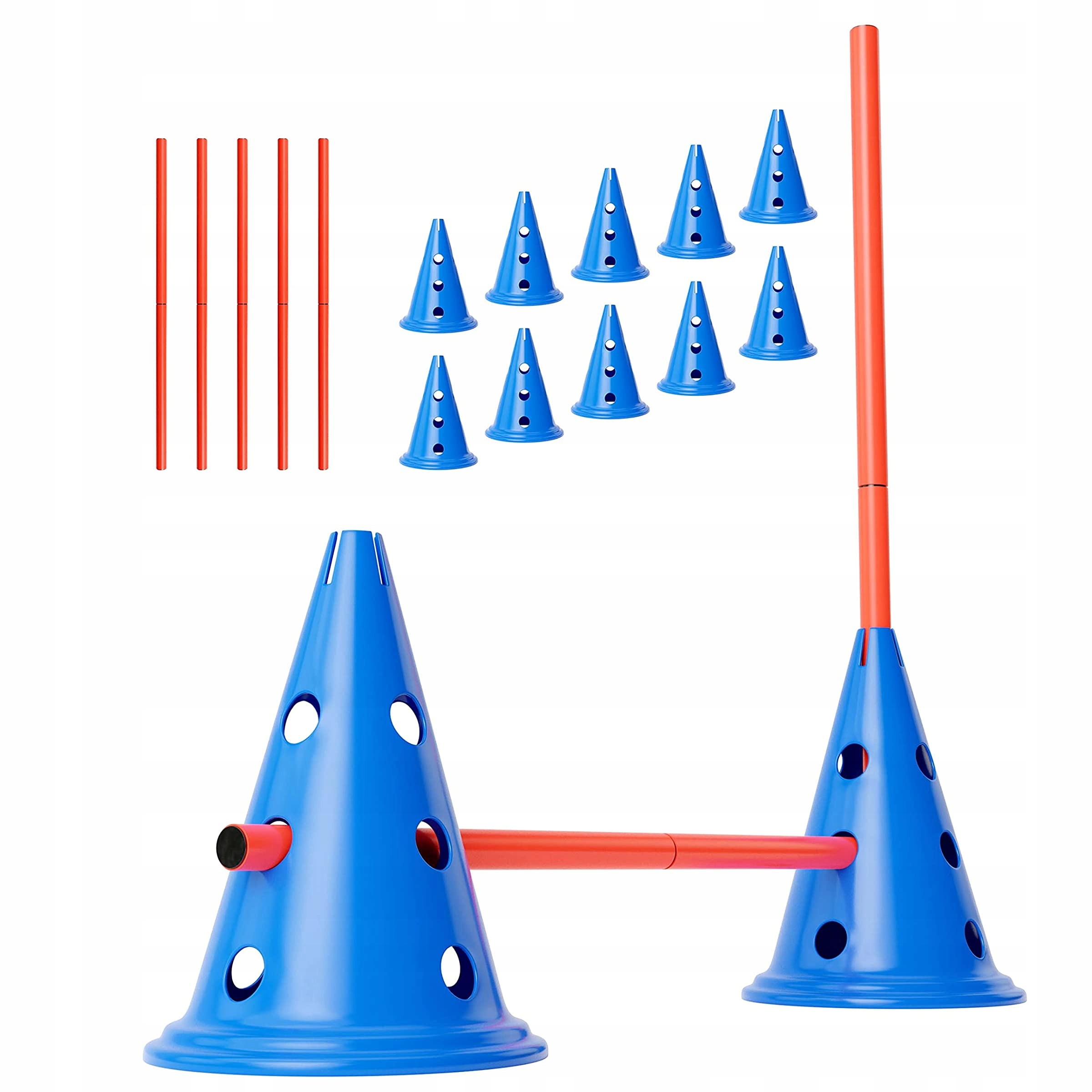 Levně Aniscills Sada Agility 10 kuželů Výška 30,5 cm