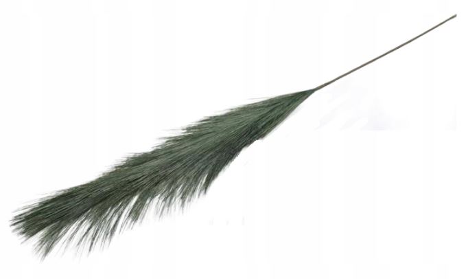 

Trawa Pampasowa sztuczna pampas Boho zielony 80 cm