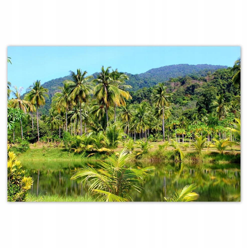

Plakat 93x62 Piękna amazonka