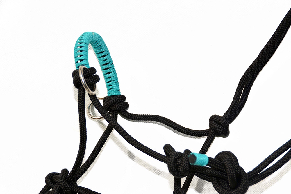 KANTAR HALTER ROZ, COB Kolor dominujący czarny