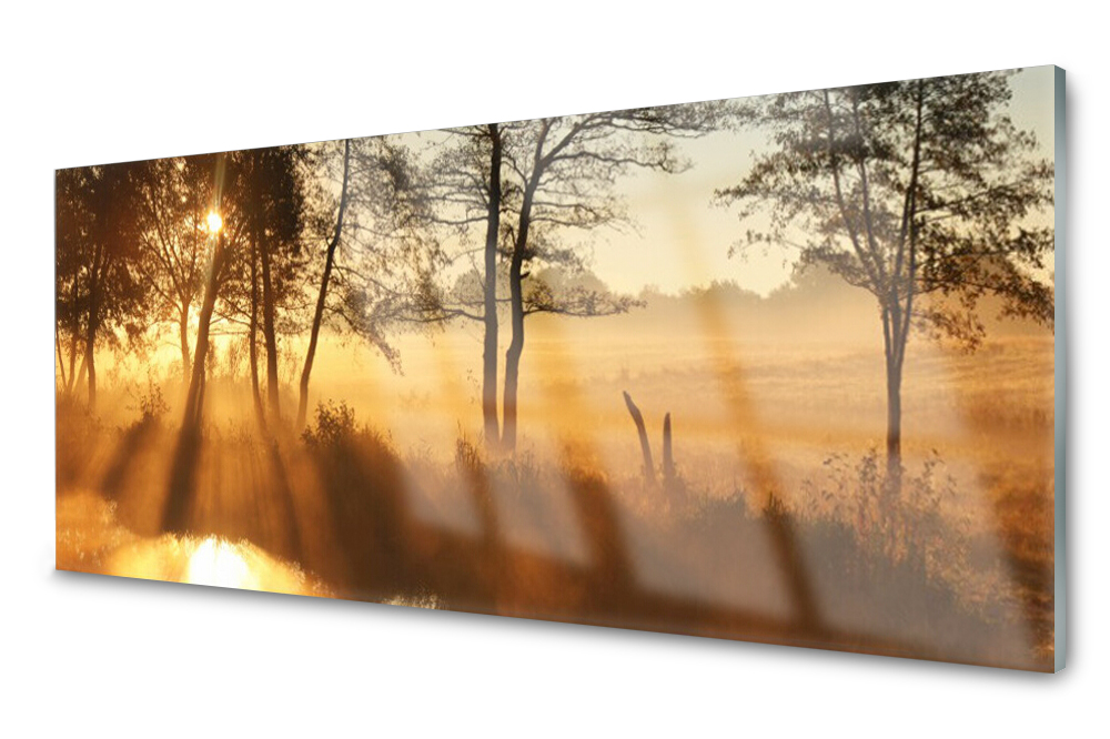 

Panel szklany do kuchni Drzewa Dekor 125x50