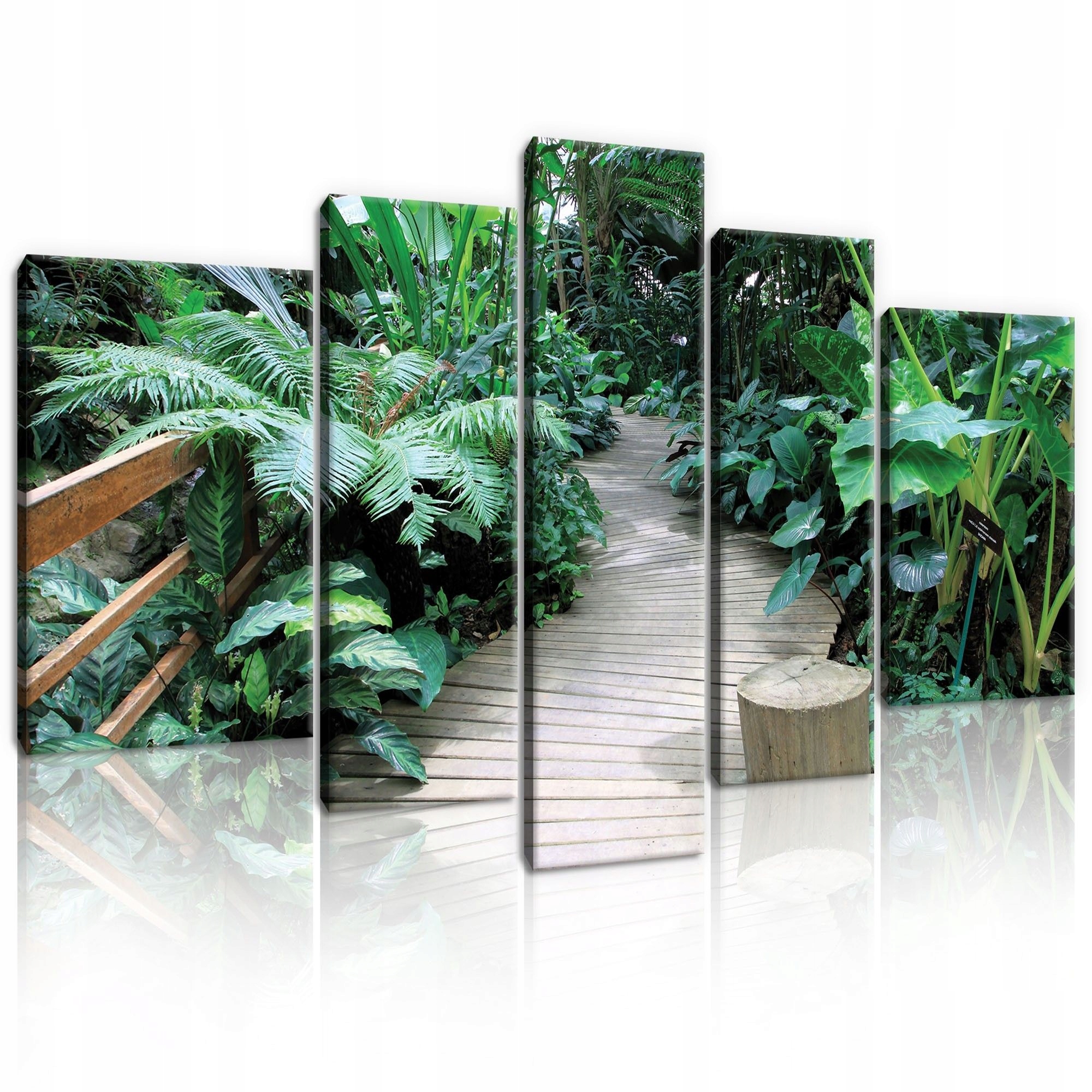 Obraz 170x100 Tropické džungle exotika zelená vegetácia príroda pokoj