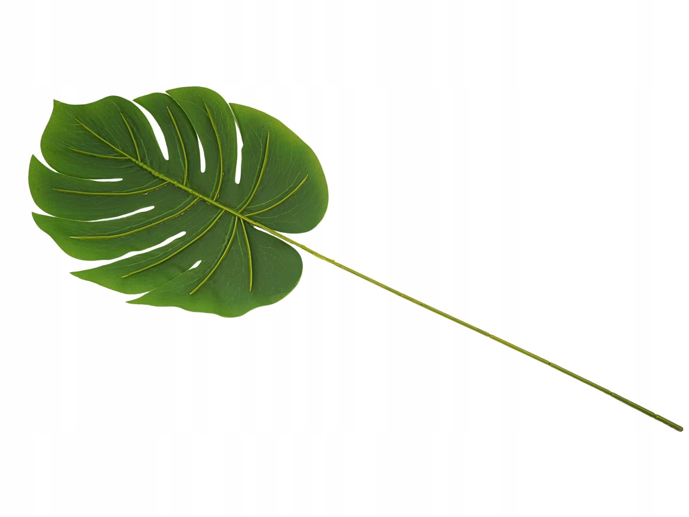 POJEDYNCZY LIŚĆ MONSTERY DUŻE LIŚCIE DO STROIKÓW BUKIETÓW DŁUGI 58 cm Wysokość maksymalna 57 cm