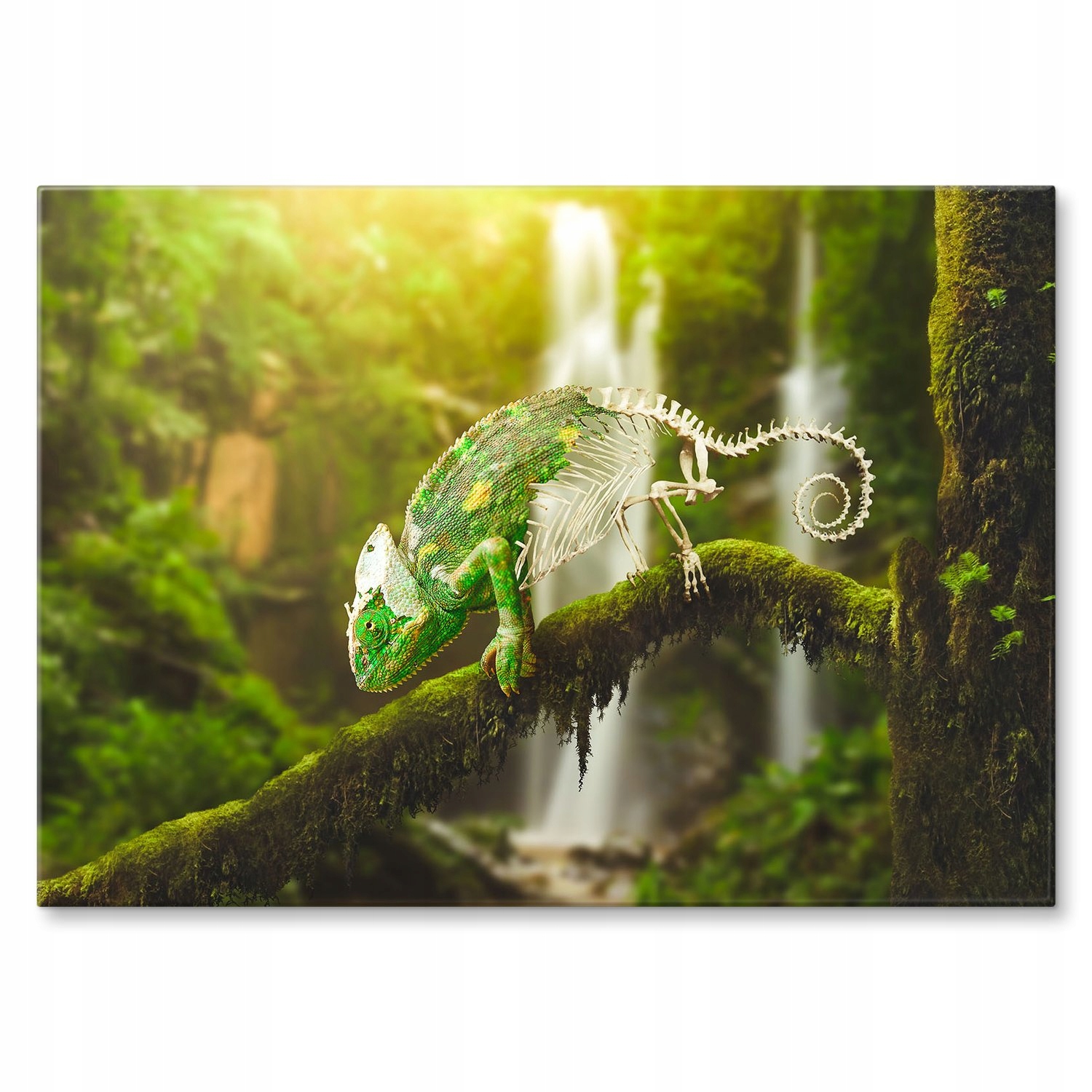 Kovový plakát Kameleon Szyld Plech 30 x 42 cm Dárek