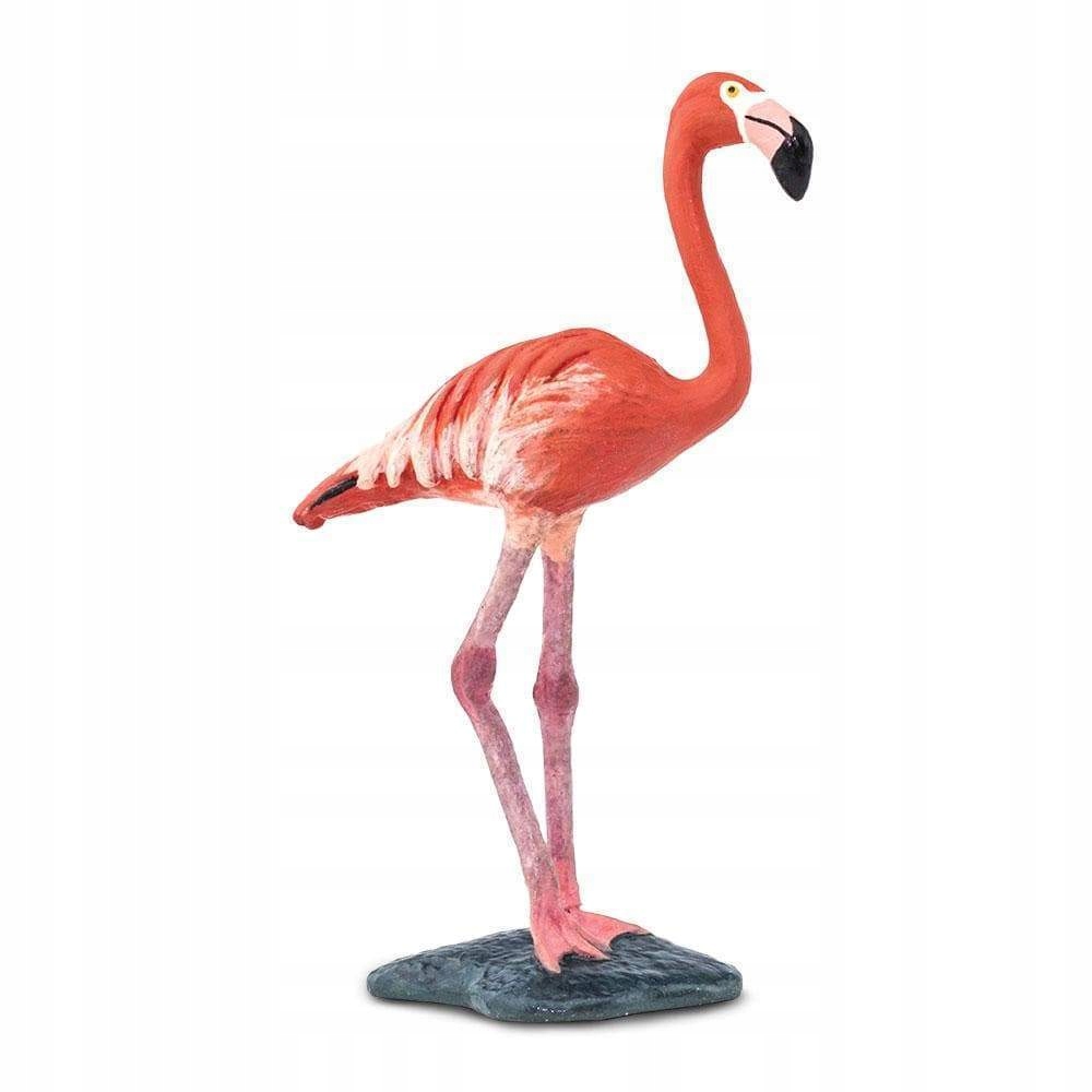 

Flaming Flamingo Safari Ltd. 100262