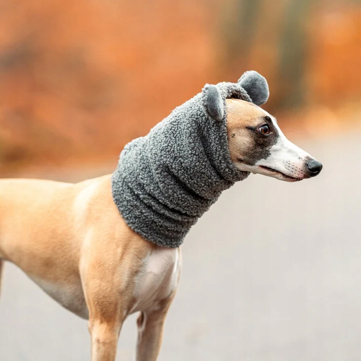 Snood pro italského chrtíka Beránek Boucle