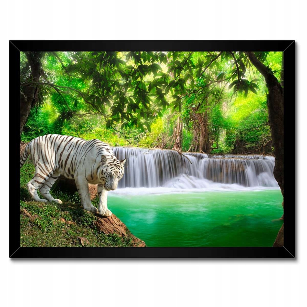 Plakáty v rámu 40x30 Tygr u vodopádu
