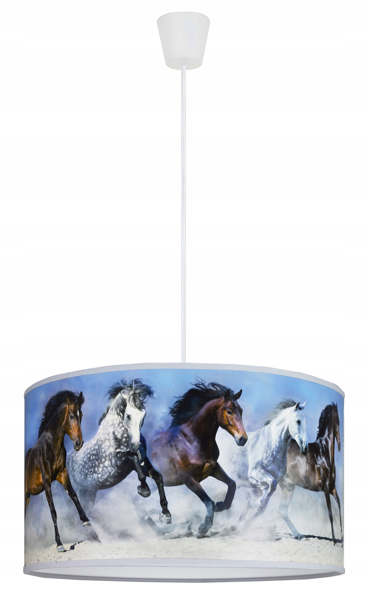 СОВРЕМЕННЫЙ ПОДВЕСНОЙ СВЕТИЛЬНИК, ПОТОЛОЧНЫЙ СВЕТИЛЬНИК СВЕС ЛОШАДИ, КАРТИНЫ