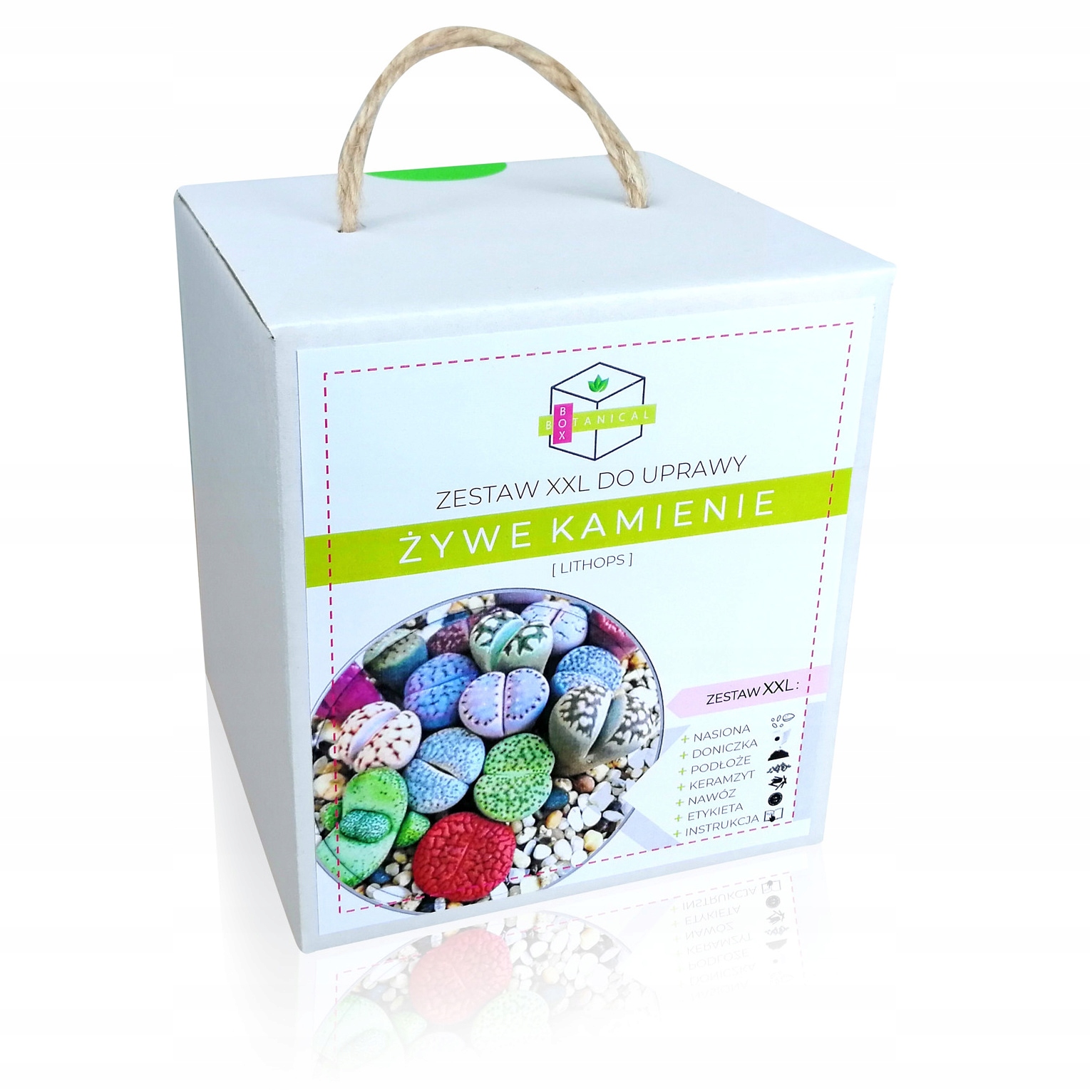 

Żywe Kamienie Lithops Zestaw Do Uprawy Na Prezent