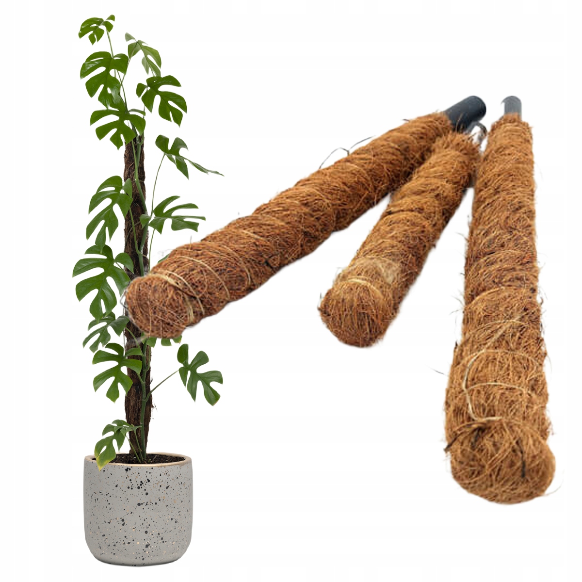 

Palik Kokosowy Tyczka Podpora Do Roślin 80cmx25mm