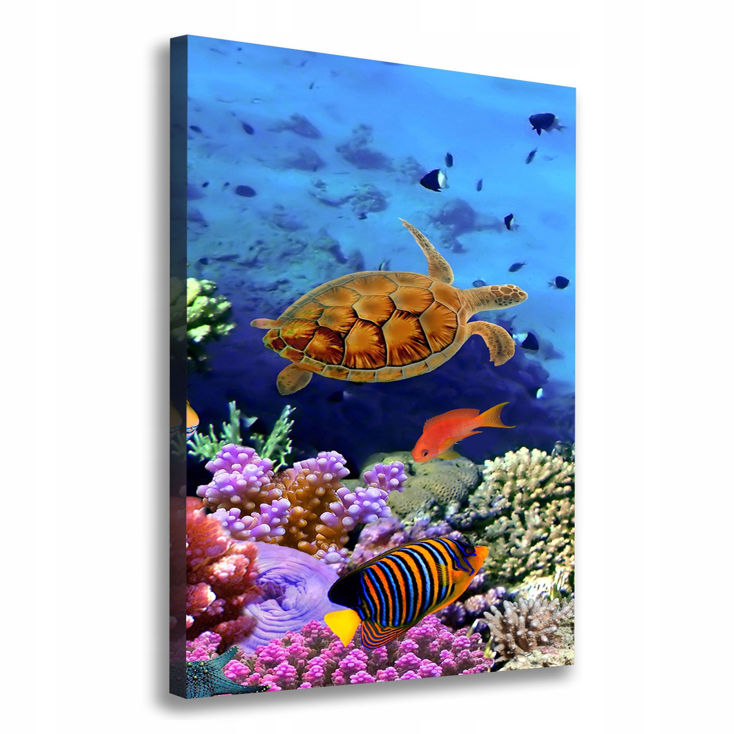 

Foto obraz canvas na ścianę Rafa koralowa 70x100cm