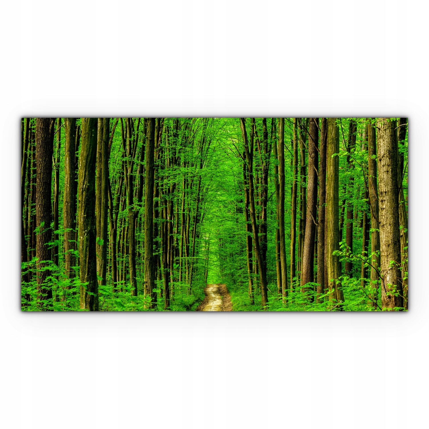 

Canvas płótno do sypialni 140x70 Las Drzewa Natura