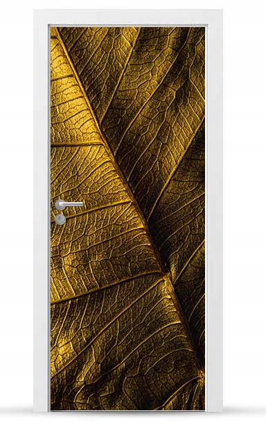 Okleina nálepka na vnější dveře Nábytková samolepicí Snadné Lepení