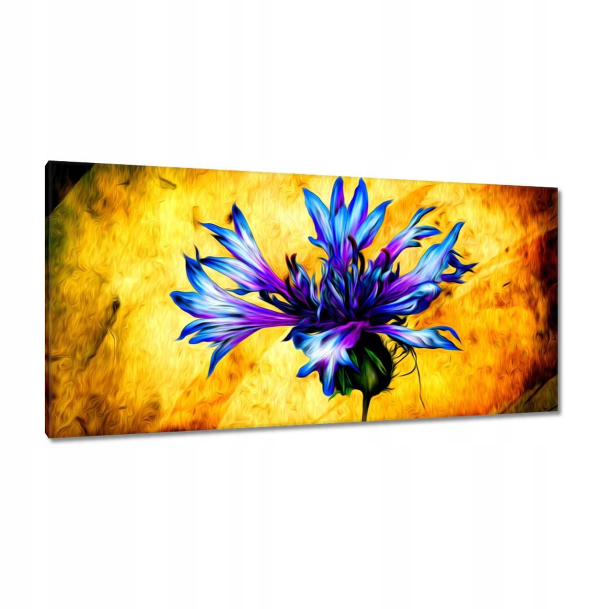 Obrazy 115x55 Modrak