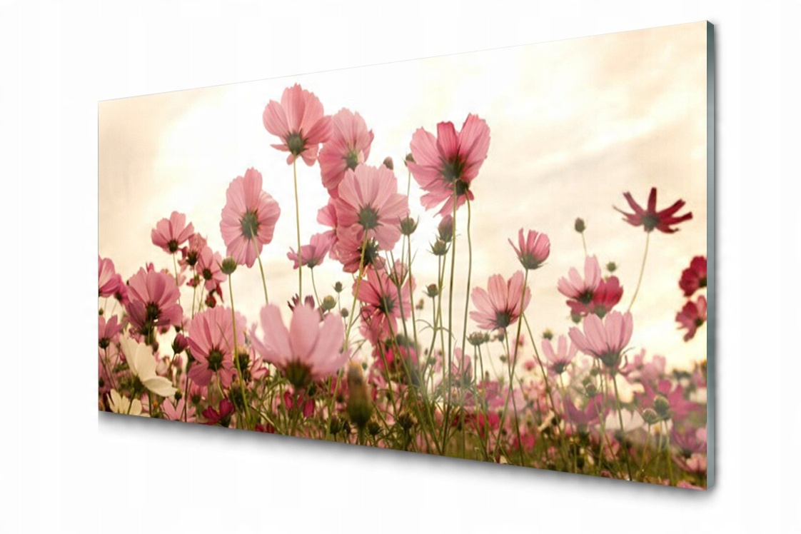 

Panel szklany Płytka Kwiaty Polne Łąka 120x60