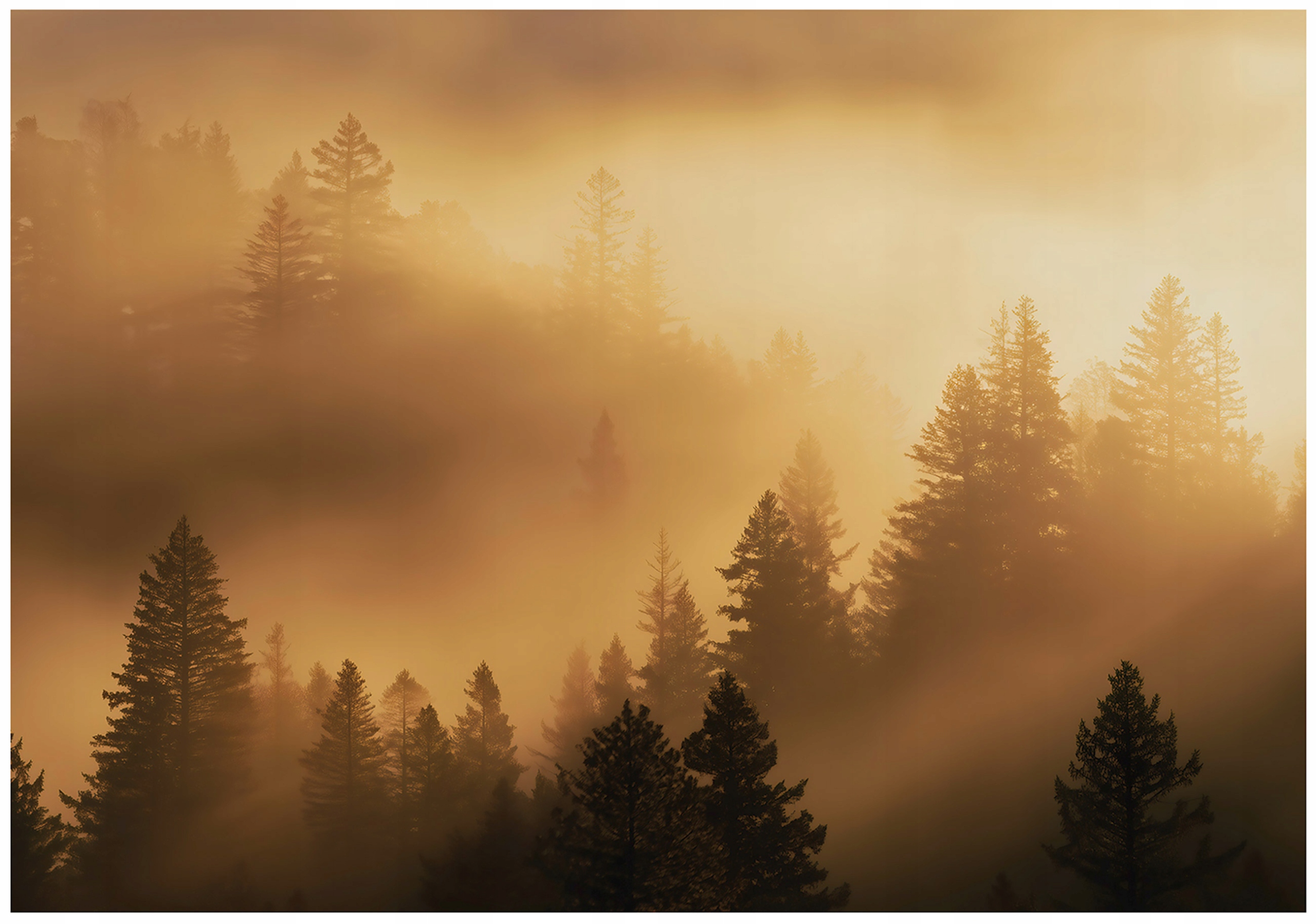 Fototapeta Les V Mlze Béžová 3D Ložnice Obývací Pokoj Tapeta Flizelina 350x250