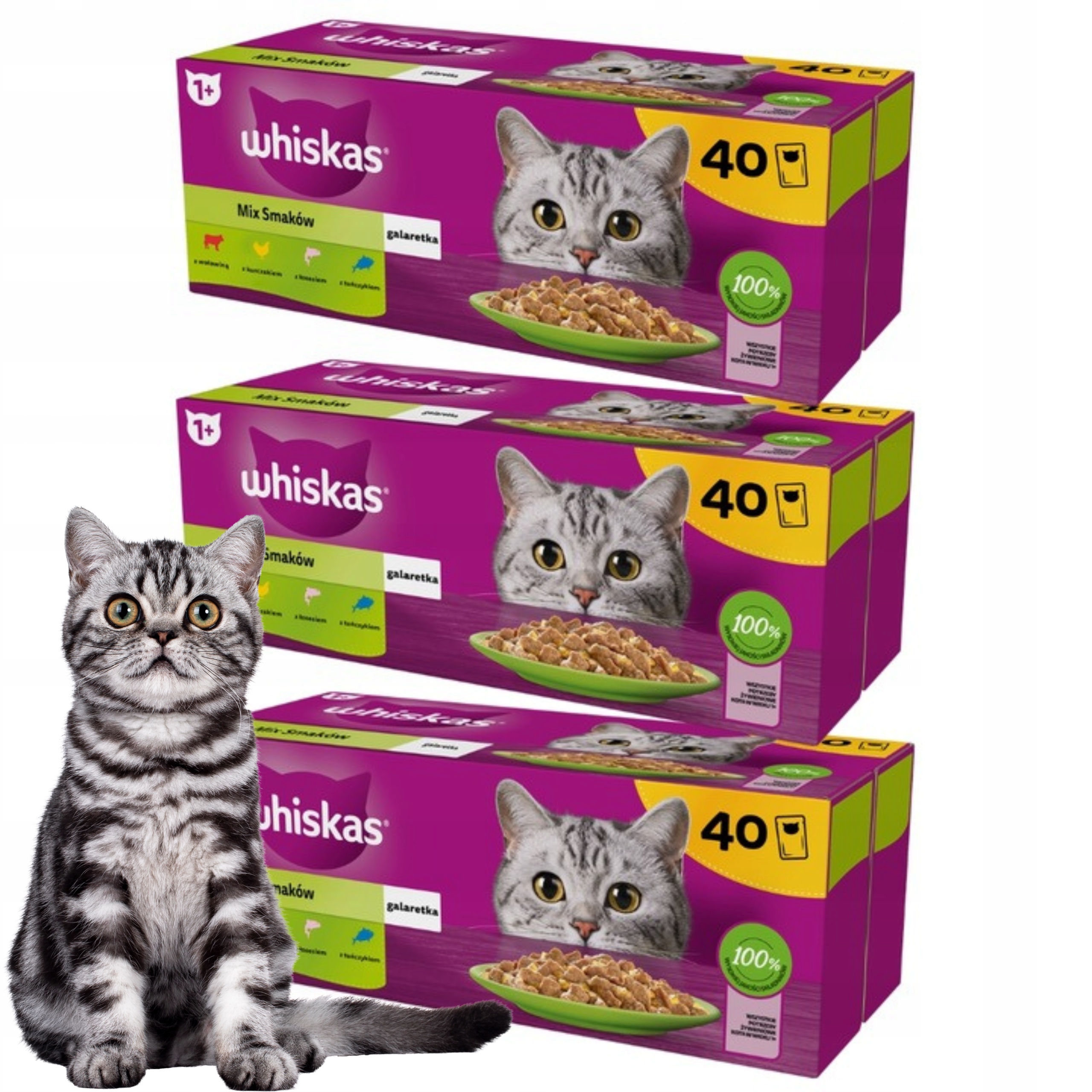 Levně Whiskas Mokré Krmivo Pro Kočky MIX Chutí V Želé 85 g x 120