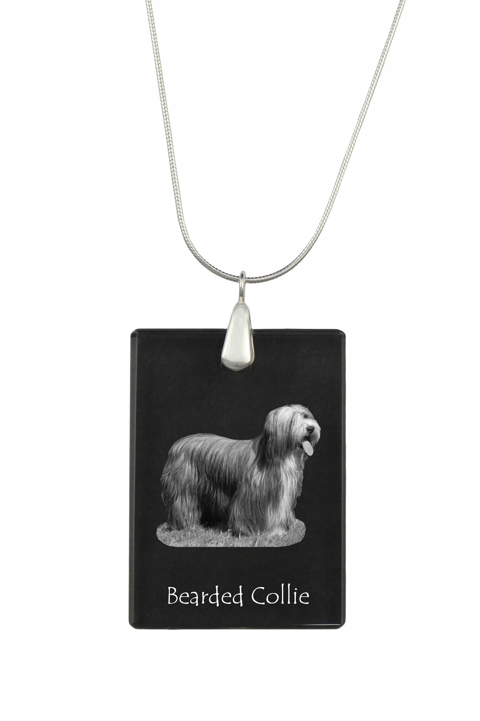 Bearded Collie stříbrný náhrdelník s křišťálovým přívěskem se psem s fotografií