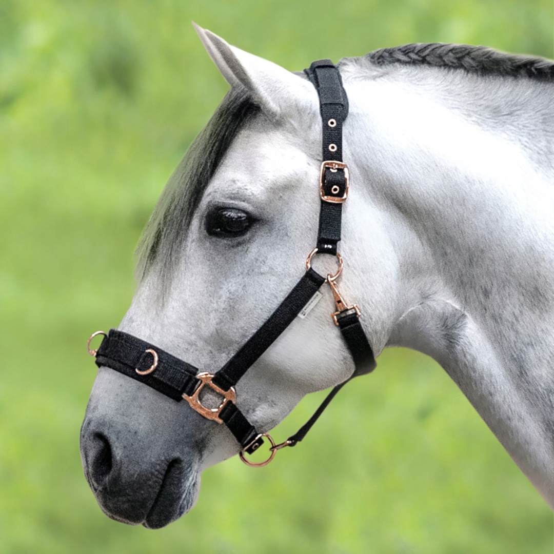 Uzda pro lonžování Waldhausen Rosé Full