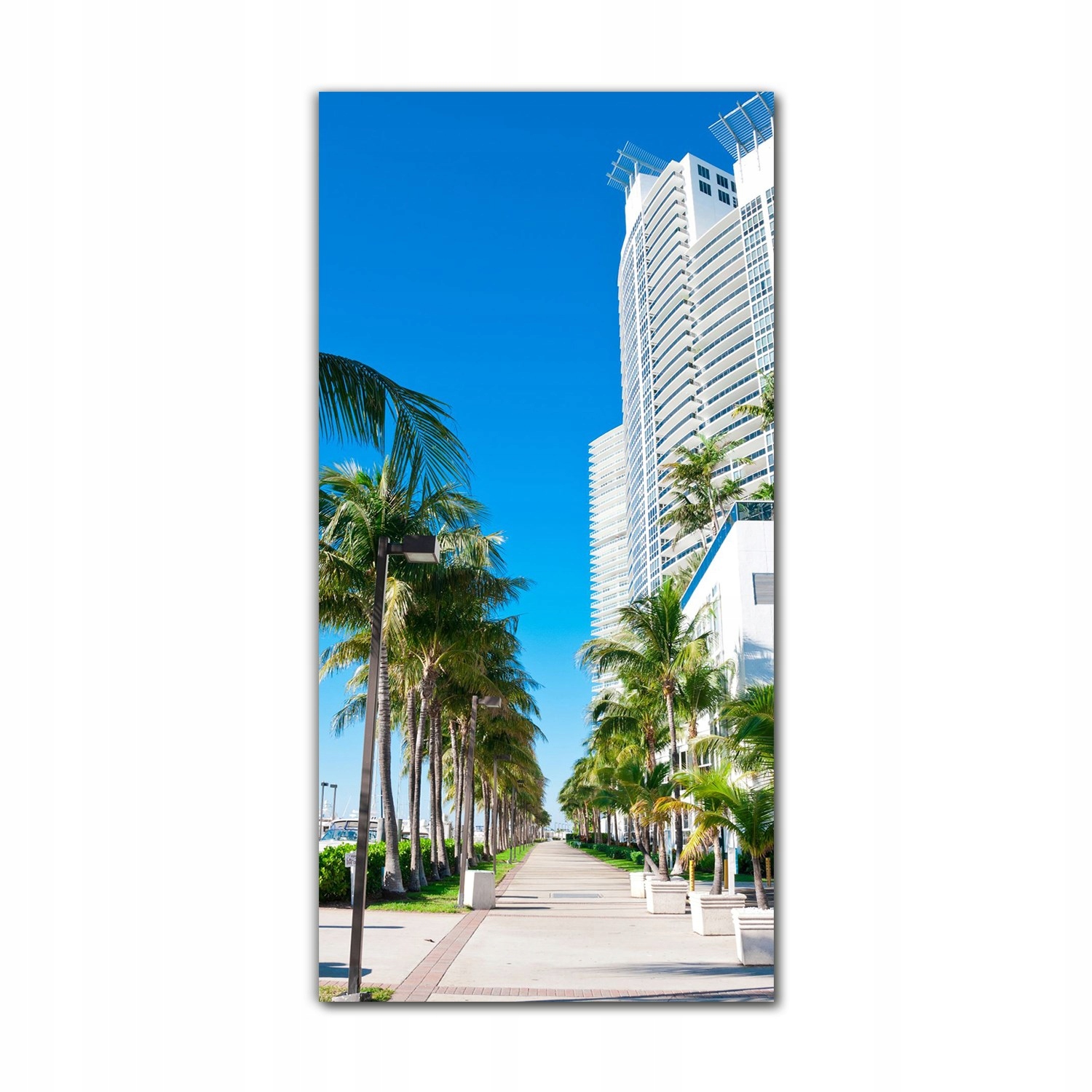 

Foto-obraz na szkle nowoczesny 70x140 Miami droga