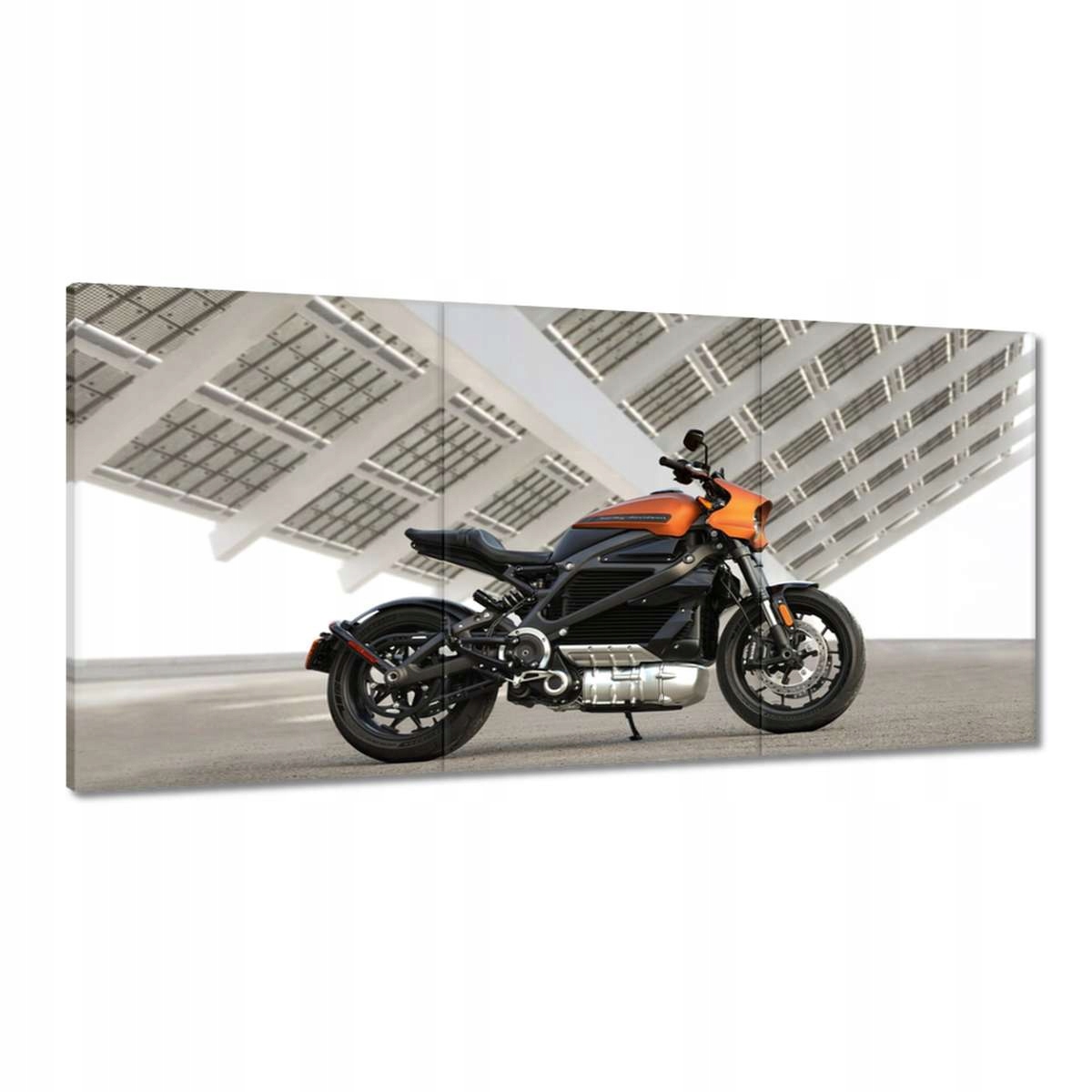 Obrazy 180x90 Harley Davidson Motocykel