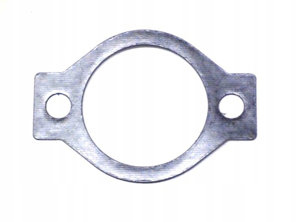 Uszczelka termostatu Yanmar