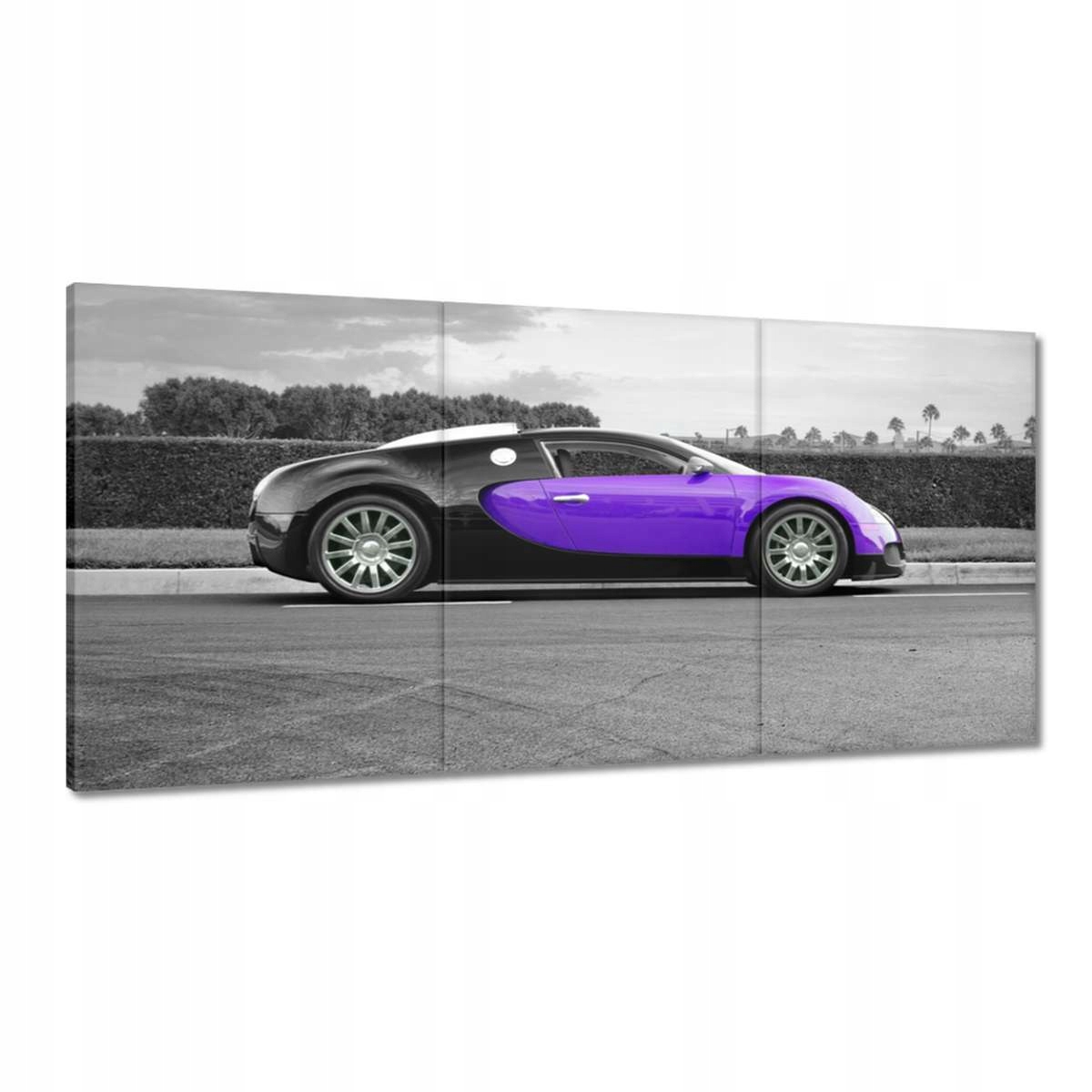 Obrazy 180x90 Bugatti Športové auto