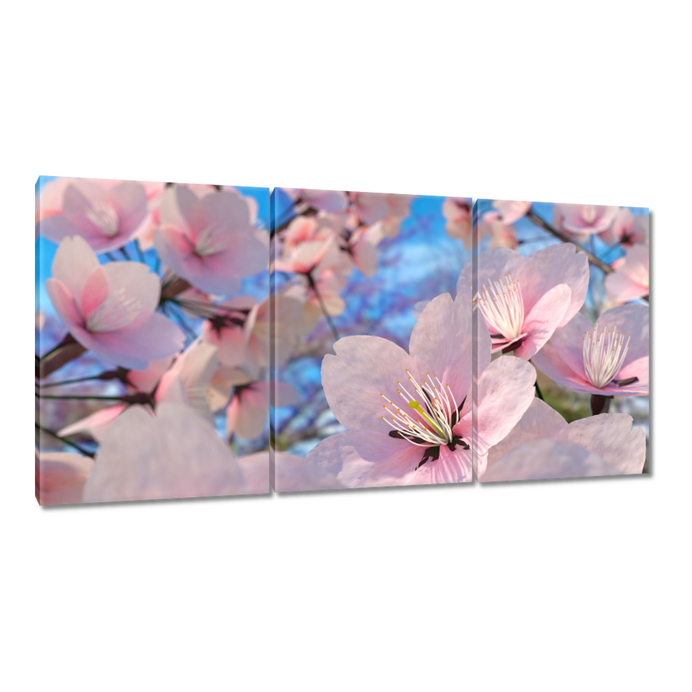 

Obrazy 120x60 Prześliczne kwiatuszki