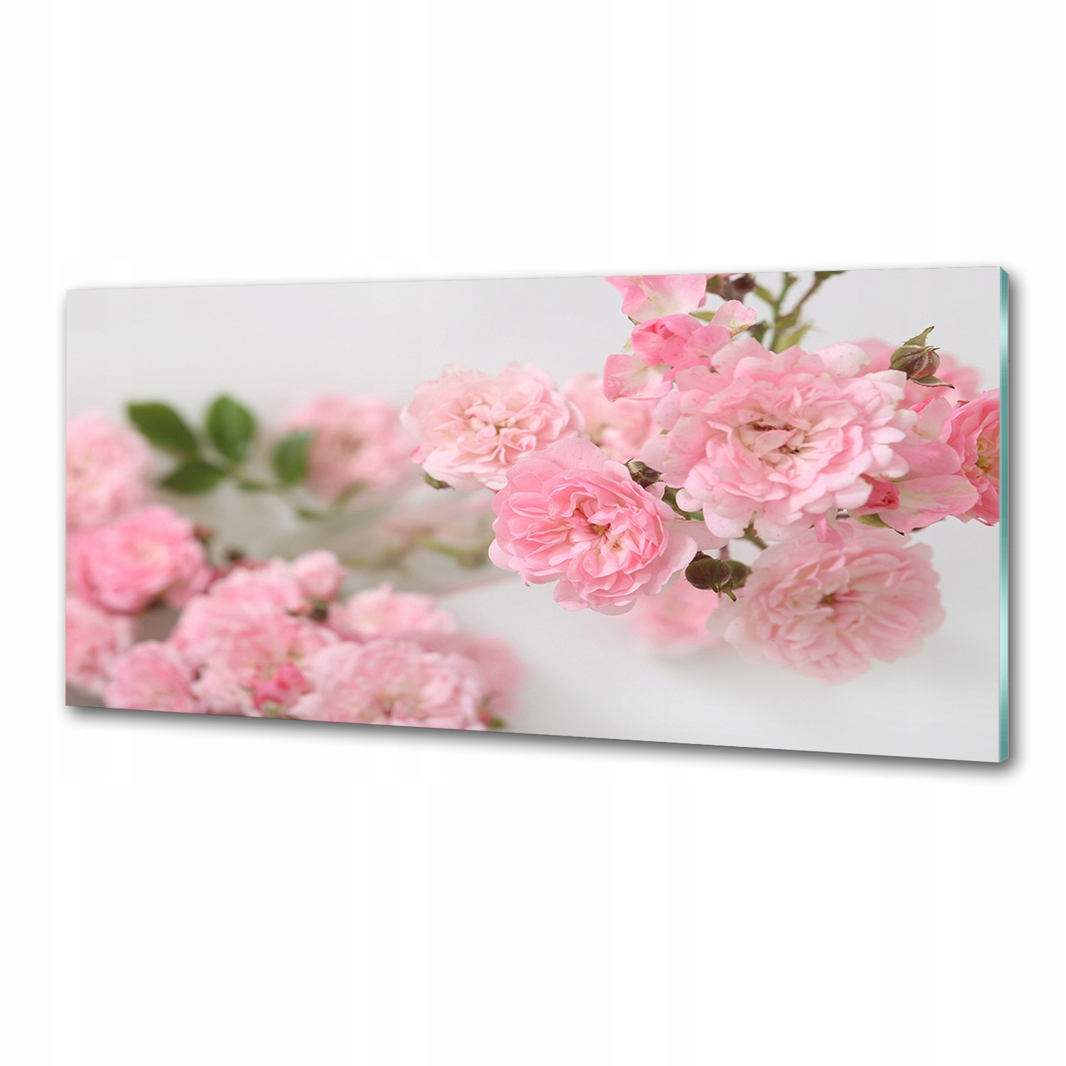 Panel dekor sklo Divoké ruže 125x50 cm Lepidlo