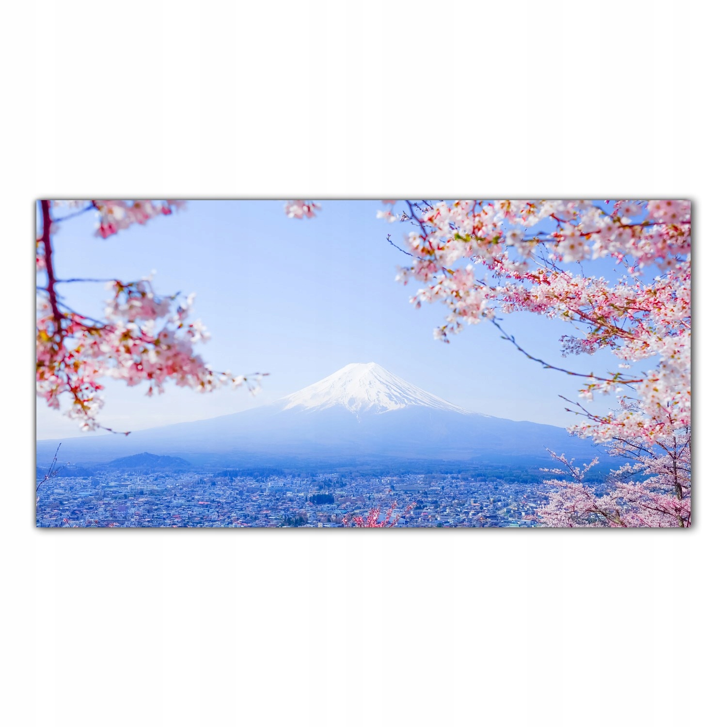 

Obraz na szkle Foto Japonia Wiśnia Kwiaty 100x50